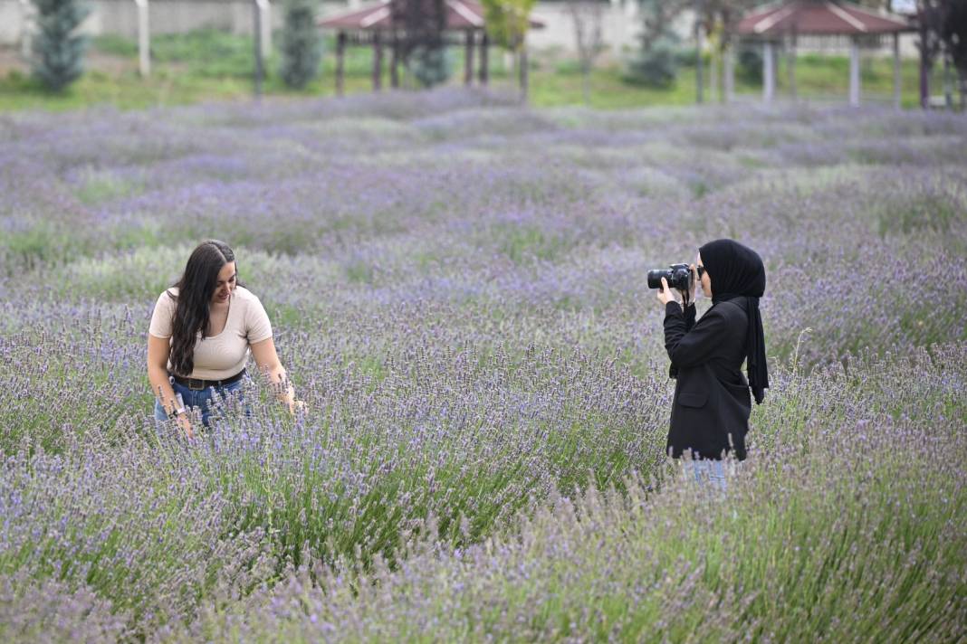 Bu kez fotoğraflar Ankara'dan! Gören oraya koştu 5